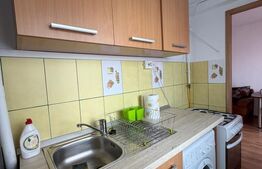 Garsonieră de închiriat, 25 mp, zona Bucla – Str. Victoriei 