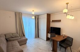 Garsoniera de vanzare, 28 mp, zona Independentei