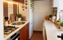 Apartament 2 camere, 32 mp, zona Săsar