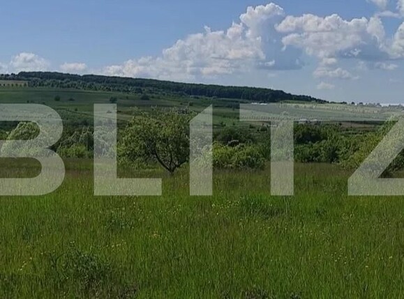 Teren de vânzare Somcuta Mare - 209516TV | BLITZ Baia Mare | Poza1