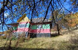 Casa de vanzare Cavnic, Baia Mare