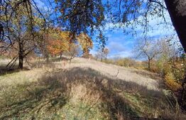 Casă  cu teren generos de 40 ari și panoramă deosebită – Cavnic, Maramureș