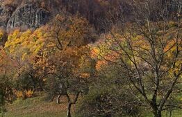 Casă  cu teren generos de 40 ari și panoramă deosebită – Cavnic, Maramureș