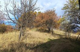 Casă  cu teren generos de 40 ari și panoramă deosebită – Cavnic, Maramureș