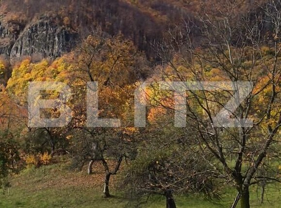 Casa de vânzare 2 camere Cavnic - 209581CV | BLITZ Baia Mare | Poza11