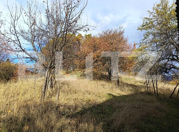 Casa de vânzare 2 camere Cavnic - 209581CV | BLITZ Baia Mare | Poza10