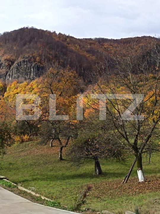 Casa de vânzare 2 camere Cavnic - 209581CV | BLITZ Baia Mare | Poza11