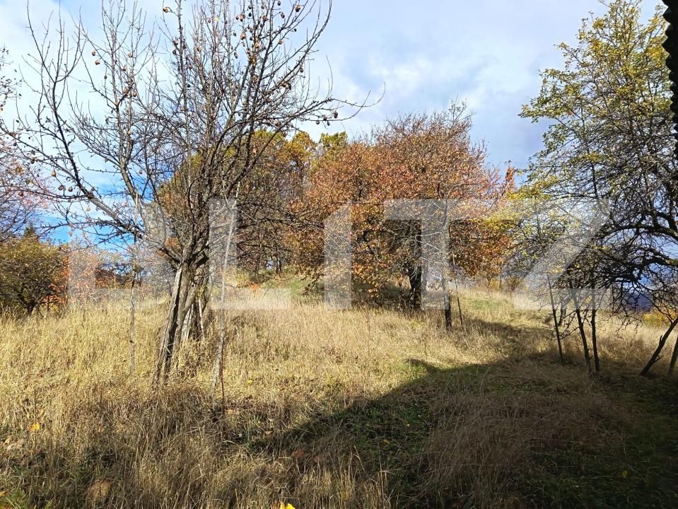Casa de vânzare 2 camere Cavnic - 209581CV | BLITZ Baia Mare | Poza10