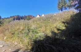 Teren format din 2 Parcele de vanzare la Colibita 756mp si 1000mp