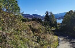 Teren format din 2 Parcele de vanzare la Colibita 756mp si 1000mp