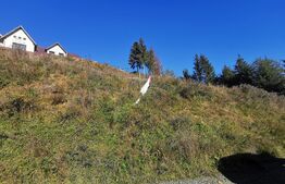 Teren format din 2 Parcele de vanzare la Colibita 756mp si 1000mp