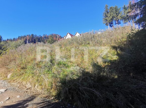 Teren de vânzare Colibiţa - 100117TV | BLITZ Bistriţa | Poza7