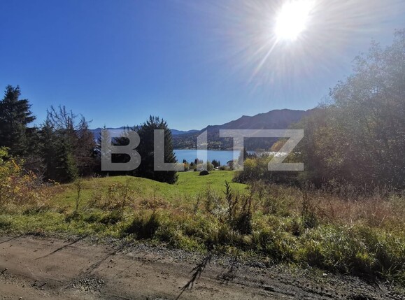 Teren de vânzare Colibiţa - 100117TV | BLITZ Bistriţa | Poza3