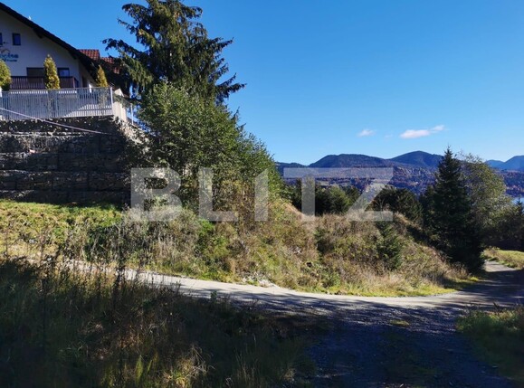 Teren de vânzare Colibiţa - 100117TV | BLITZ Bistriţa | Poza2