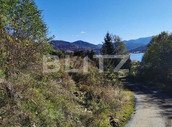 Teren de vânzare Colibiţa - 100117TV | BLITZ Bistriţa | Poza4