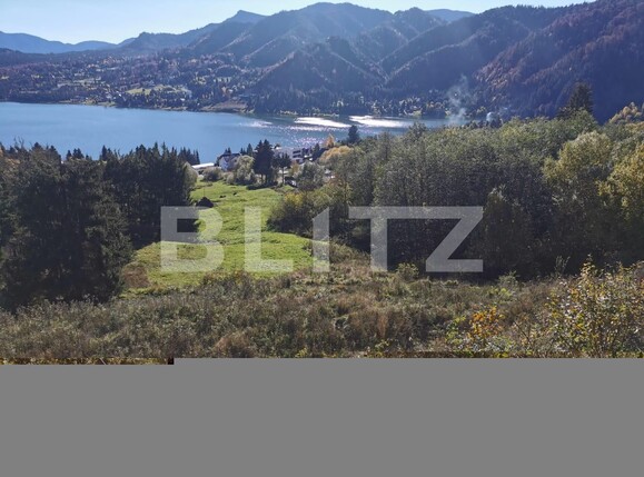 Teren de vânzare Colibiţa - 100117TV | BLITZ Bistriţa | Poza5