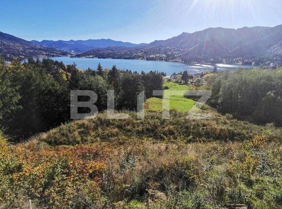 Teren de vânzare Colibiţa - 100117TV | BLITZ Bistriţa | Poza6