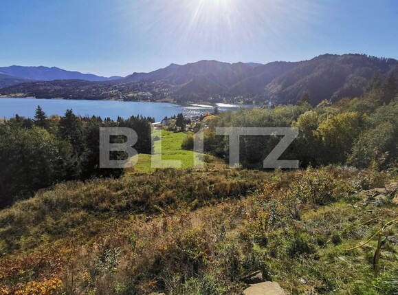 Teren de vânzare Colibiţa - 100117TV | BLITZ Bistriţa | Poza1