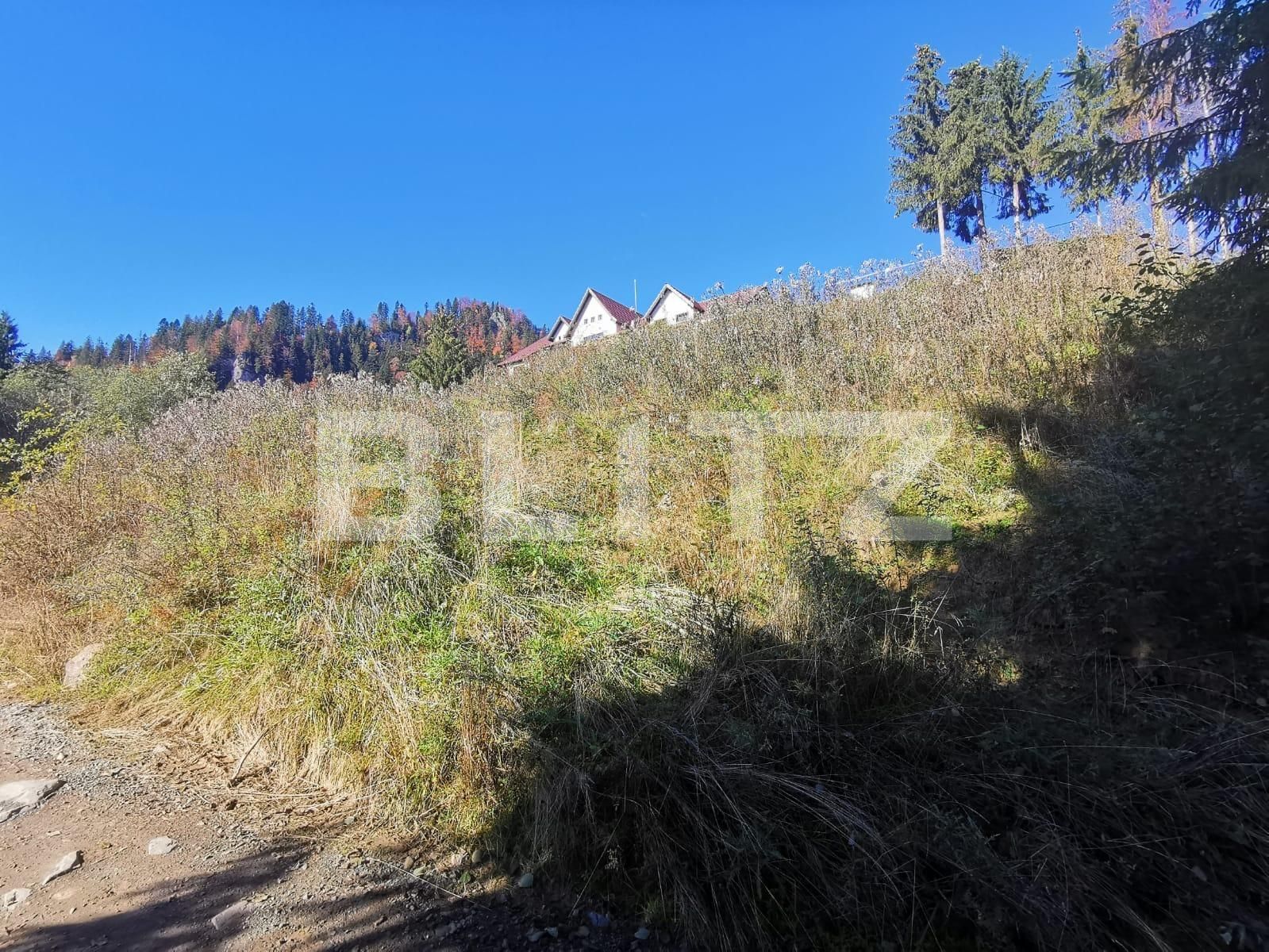 Teren de vânzare Colibiţa - 100117TV | BLITZ Bistriţa | Poza7