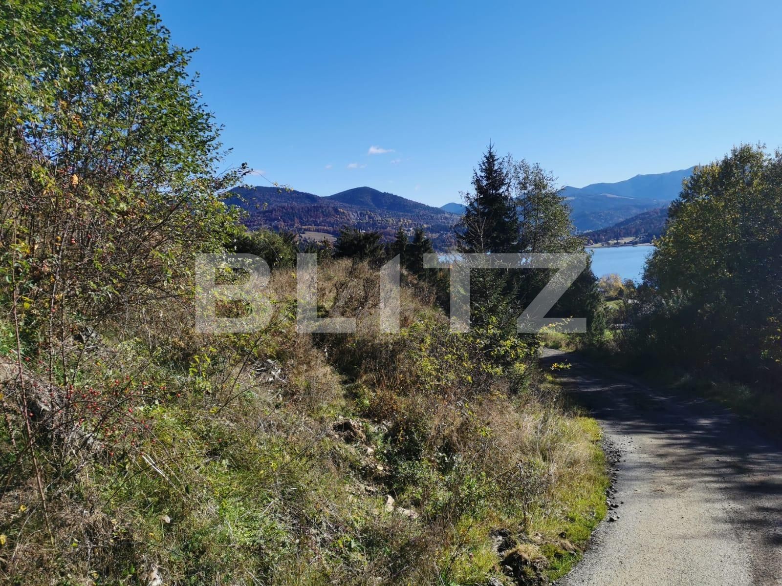 Teren de vânzare Colibiţa - 100117TV | BLITZ Bistriţa | Poza4