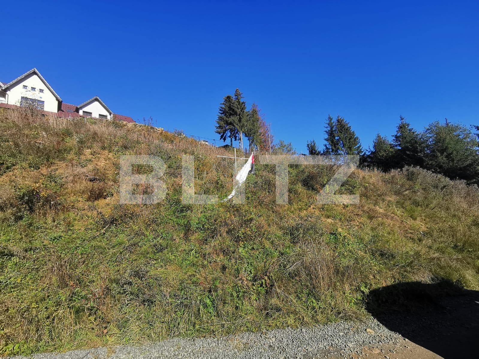 Teren de vânzare Colibiţa - 100117TV | BLITZ Bistriţa | Poza8