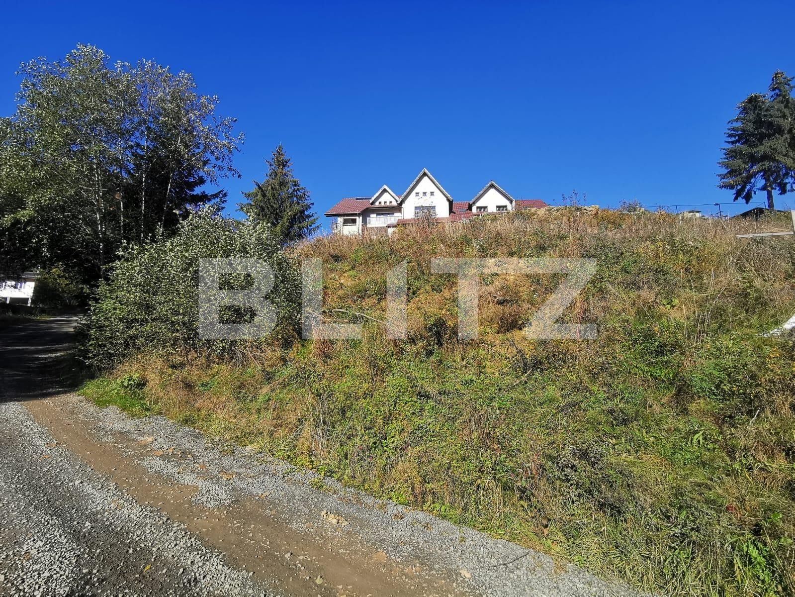 Teren de vânzare Colibiţa - 100117TV | BLITZ Bistriţa | Poza9