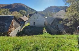 Casa P+M de aprox.140 mp, cu 10 ari livada de pomi si 1,5ari de gradina in Nepos 