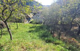 Casa P+M de aprox.140 mp, cu 10 ari livada de pomi si 1,5ari de gradina in Nepos 