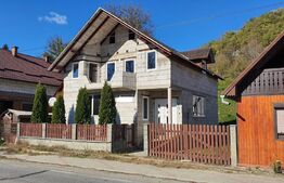 Casa P+M de aprox.140 mp, cu 10 ari livada de pomi si 1,5ari de gradina in Nepos 