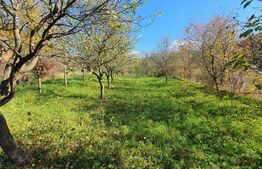 Casa P+M de aprox.140 mp, cu 10 ari livada de pomi si 1,5ari de gradina in Nepos 