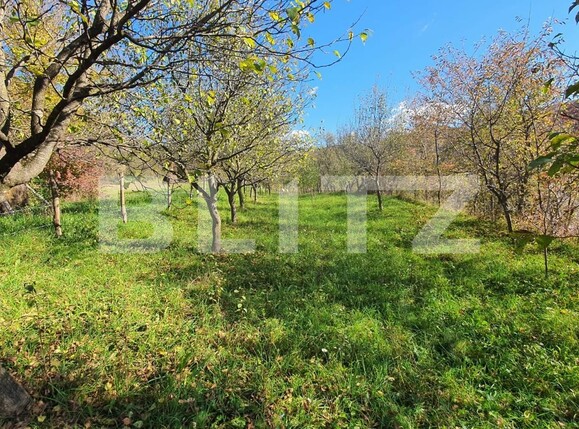 Casa de vânzare 5 camere Nepos - 100126CV | BLITZ Bistriţa | Poza11