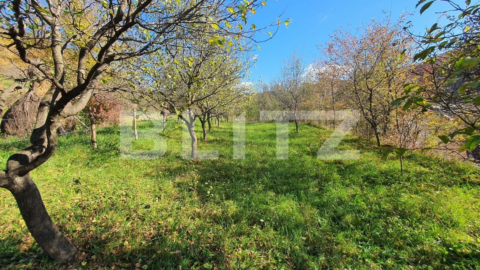 Casa de vânzare 5 camere Nepos - 100126CV | BLITZ Bistriţa | Poza11