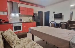 apartament 2 camere parter. finisat si mobilat