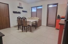 apartament 2 camere parter. finisat si mobilat