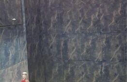 Garsoniera de inchiriat, 25 mp, zona Dragos Voda