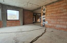  Casă 180mp utili si 6 ari de teren, Valea Budacului 