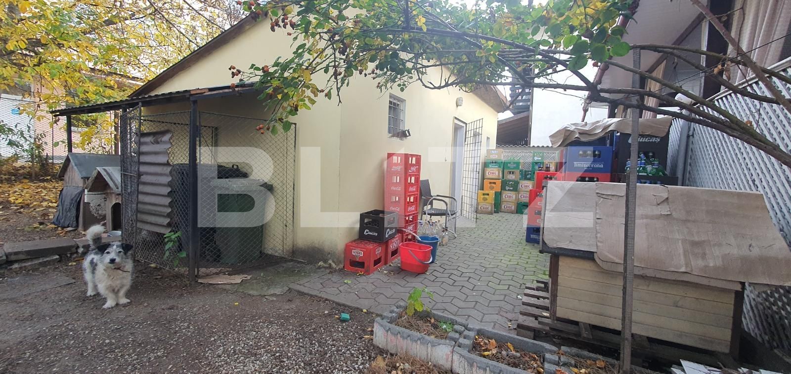 Spațiu birouri de vânzare Exterior Vest - 101626SVB | BLITZ Bistriţa | Poza15