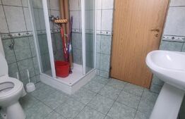 Spatii de inchirat in zona Zero