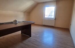 Spatii de inchirat in zona Zero