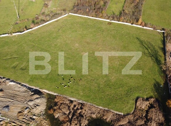 Teren de vânzare Centura - 101726TV | BLITZ Bistriţa | Poza1