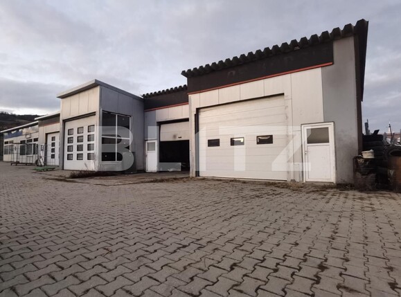 Spațiu comercial de închiriat Viișoara - 101766SIC | BLITZ Bistriţa | Poza2