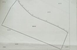 Teren extravilan ,1000mp ,zona Cighir