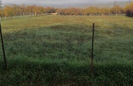 Teren intravilan 3600mp, Posmus 