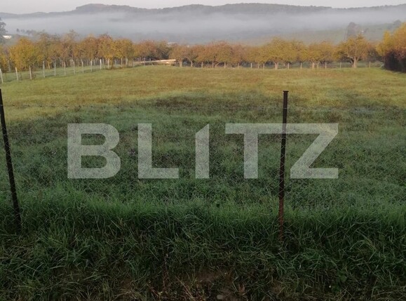 Teren de vânzare Est - 102135TV | BLITZ Bistriţa | Poza1
