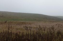 Teren 7700mp, situat la soseaua principala E58