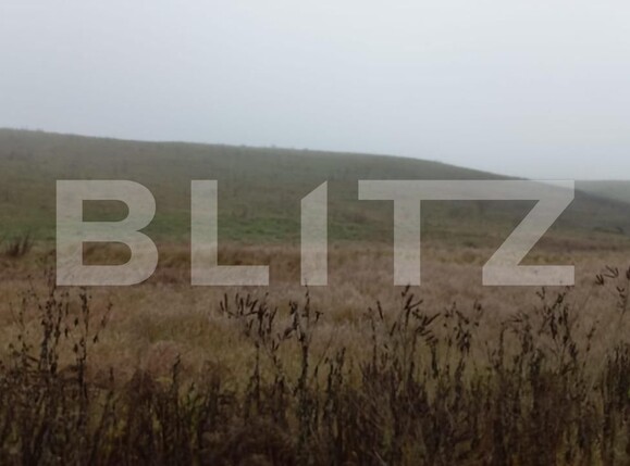Teren de vânzare Sud-Vest - 102174TV | BLITZ Bistriţa | Poza2