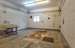 Spatiu comercial de 105mp, zona Independentei