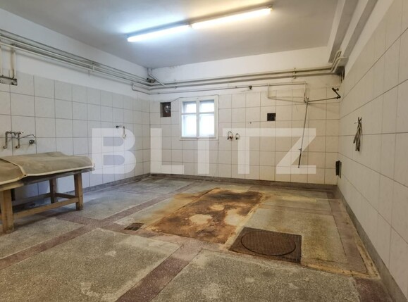 Spațiu comercial de închiriat Independenței - 102236SIC | BLITZ Bistriţa | Poza3