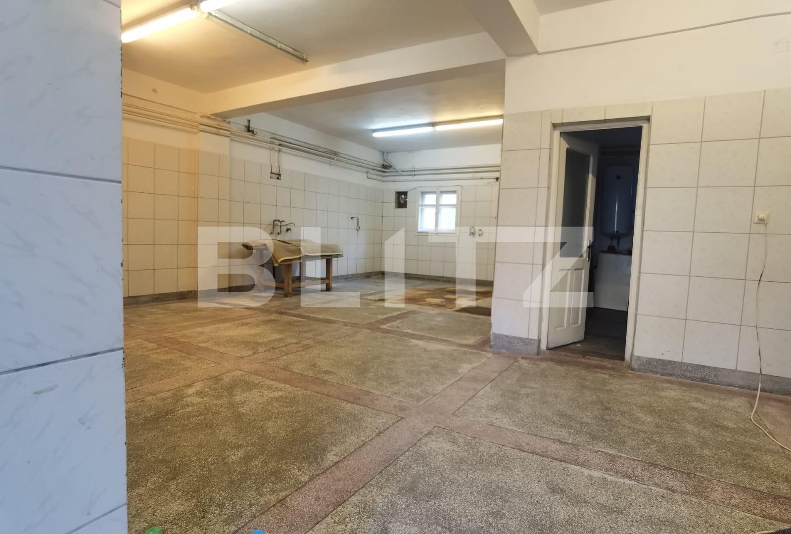 Spațiu comercial de închiriat Independenței - 102236SIC | BLITZ Bistriţa | Poza2