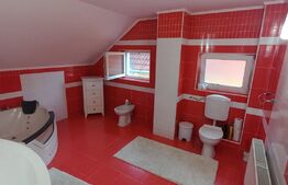 Oportunitate! Vila 259mp, mobilata lux, garaj, curte, in Unirea